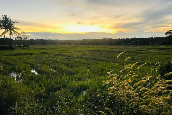 Sri Lanka 7 Day Tour with Private Driver - What Does the Tour Price Cover?