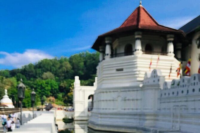 Sri Lanka 7 Day Tour with Private Driver - FAQ