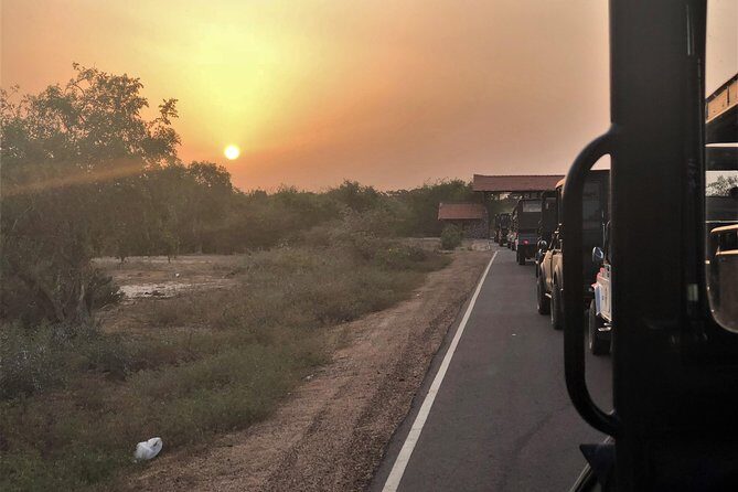 Sri Lanka 7 Days Tour Package  South Coast & Highlands - The Tour Breakdown: What to Expect Each Day