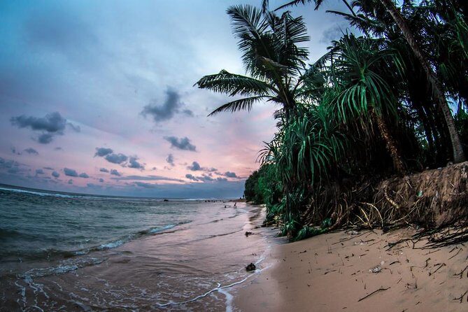 Sri Lanka Beach Best Tour Of 11 Days - Key Points