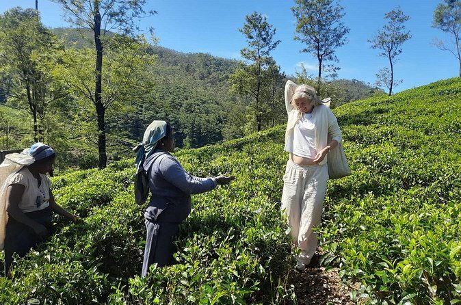 Sri Lanka Car and Driver Hire - The Sum Up: Why Choose This Private Car and Driver Experience?