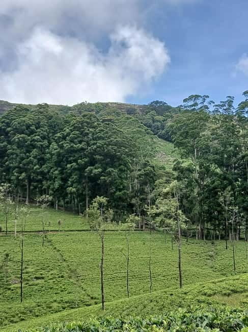 Sri Lanka: Central Province Motorbike Tour as Passenger - An Adventure with a Personal Touch