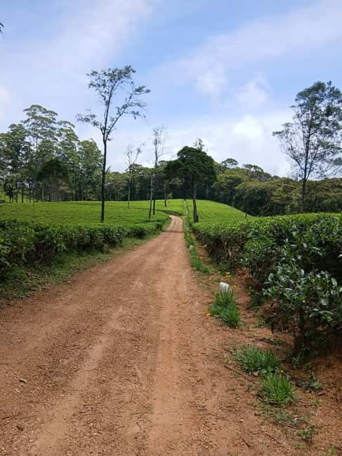 Sri Lanka: Central Province Motorbike Tour as Passenger - Why It’s a Great Value