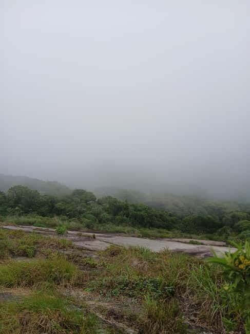 Sri Lanka: Central Province Motorbike Tour as Passenger - Who Should Consider This Tour?