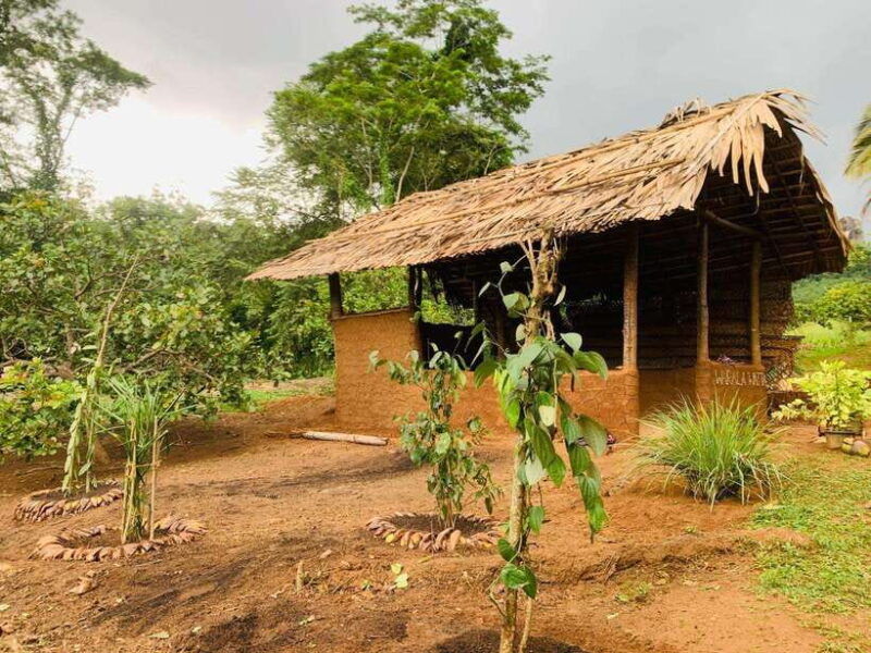 sri-lanka-ceylon-cinnamon-experience-spice-garden-tour