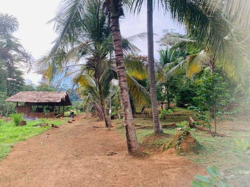 sri-lanka-ceylon-cinnamon-experience-spice-garden-tour