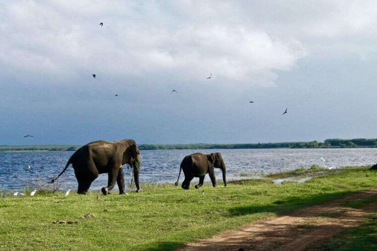 sri-lanka-cultural-triangle-hill-country-and-aborigines