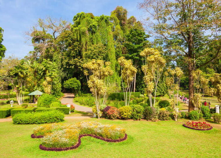 sri-lanka-cultural-triangle-private-2-day-tourwildlife-tour