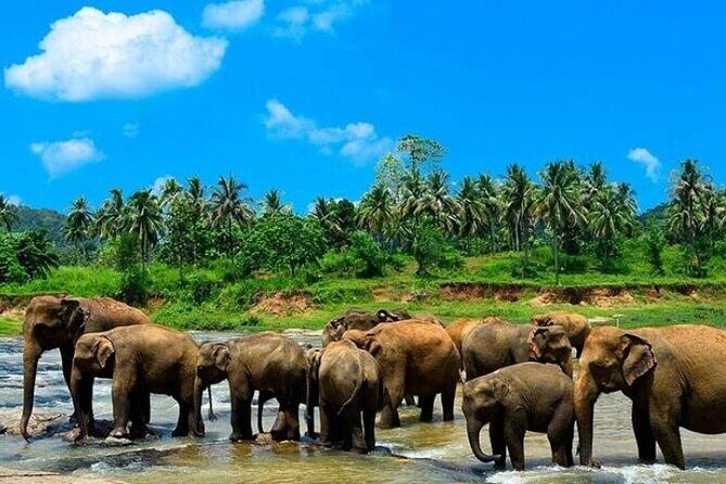 Sri Lanka Experience for 12 days-Private Basis - The Benefits of a 12-Day Private Tour in Sri Lanka