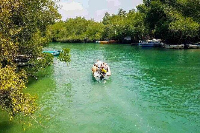 Sri Lanka Experience for 12 days-Private Basis - Authentic Experiences You’ll Remember