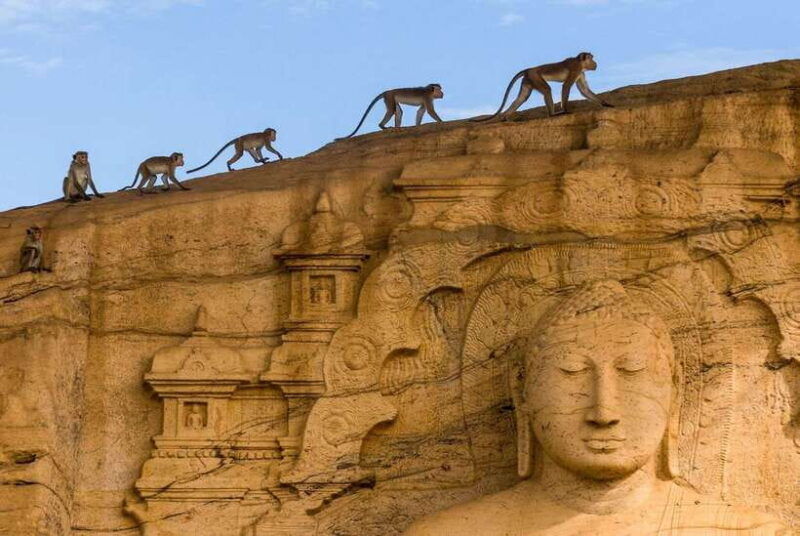 sri-lanka-heritage-sites-6-day-private-guided-tour
