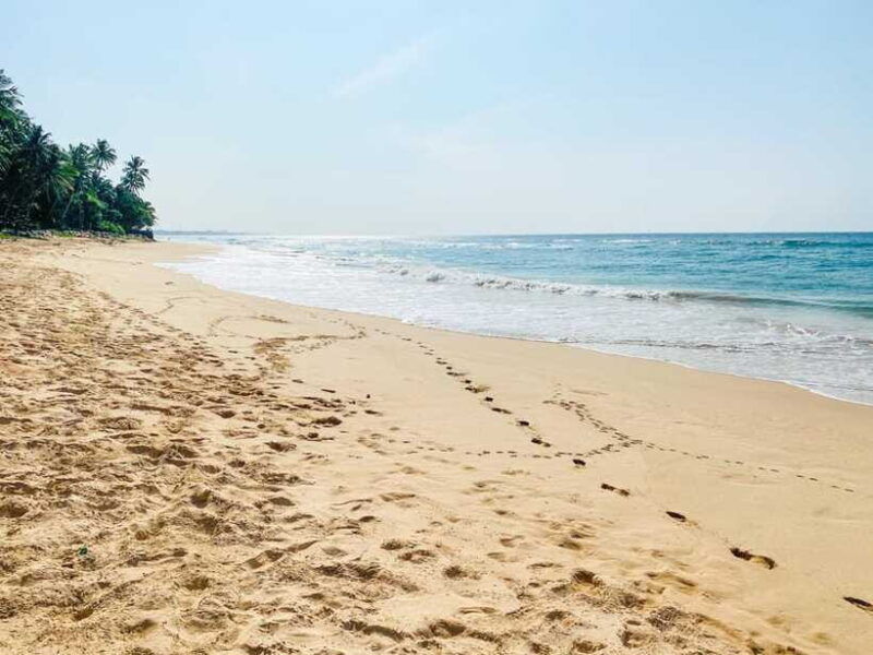 sri-lanka-history-wildlife-beaches-7-days-private-tour
