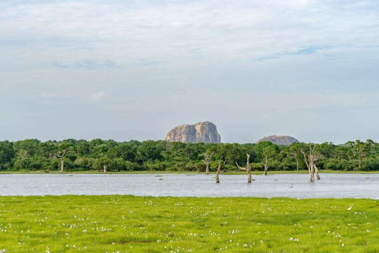 sri-lanka-jungle-tour-4-days-rainforests-national-parks