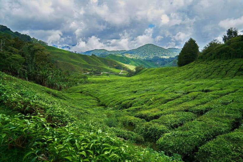 sri-lanka-kandy-hill-country-3-day-private-tour