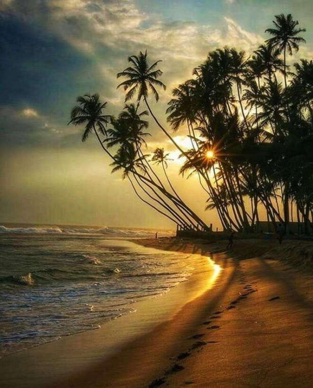 sri-lanka-kingdoms-hill-stations-beaches-and-wildlife
