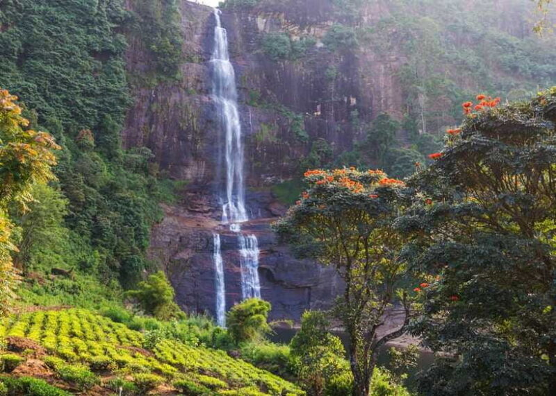 Sri Lanka Private 2-day Tour:Train Trip, Kandy, Nuwara Eliya - Practicalities and Inclusions