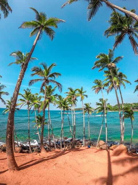 sri-lanka-private-8-day-tour-transport-guide-hotels-food