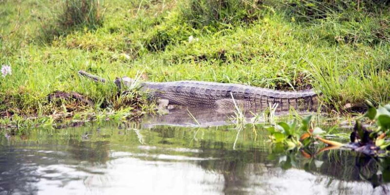 Sri Lanka Private Galle Tour: stilt fisherman, Galle Fort... - Transportation & Group Size