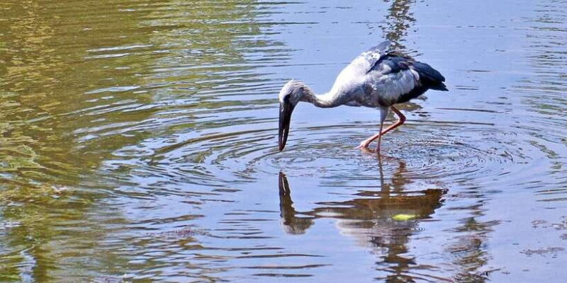Sri Lanka Private Galle Tour: stilt fisherman, Galle Fort... - Who Is This Tour Best For?