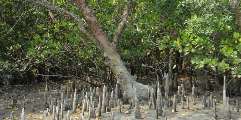 Sri Lanka Private Galle Tour: stilt fisherman, Galle Fort... - Final Thoughts