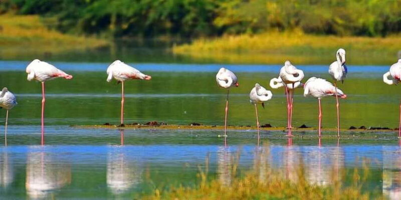 Sri Lanka Private Galle Tour: stilt fisherman, Galle Fort... - FAQ