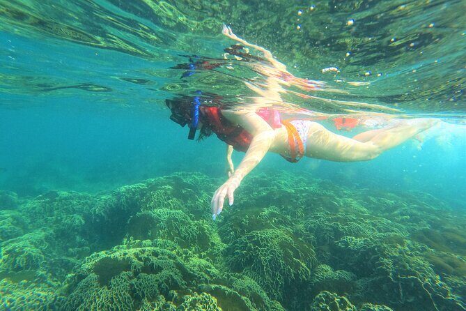 Sri Lanka Private Tour with Driver  Flexible Dates & Itinerary - Who Will Love This Tour?