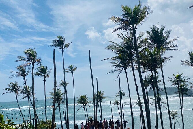 Sri Lanka Round Tour-Sigiriya, Ella Train Ride Safari Adventure - End of the Day: Comfortable Hotel Drop-offs