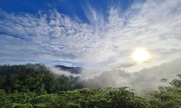 sri-lanka-sinharaja-rainforest-guided-trek-with-pickup
