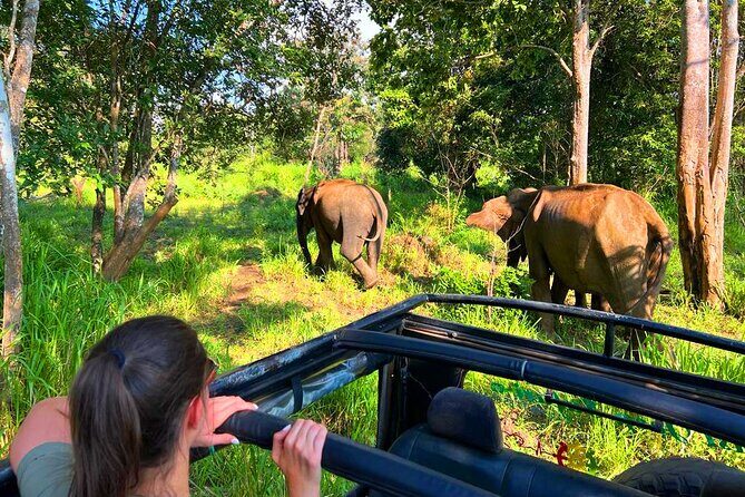 Sri Lanka Tour 06 Nights 07 Days with Hotels & Transport - An Overview of the Tour Experience