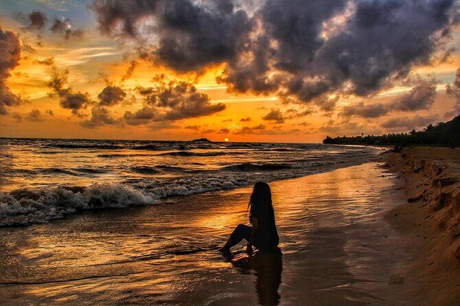 Sri Lanka Tour/6 Days+Friendly Chauffeur +vehicle+accommodation H/B basis - Day 5: Relaxing at Mirissa Beach