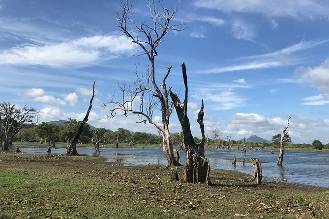 Sri Lanka tours 12-Day wildlife Tour with driver,Car or Van and accommodations - FAQ