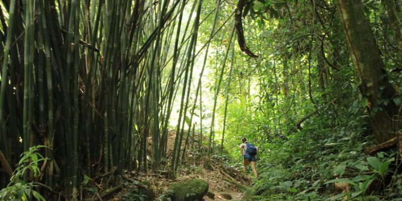 Sri Lanka: Wildlife Wonders Of Sri Lanka Private 5-day Tour - Final Thoughts: Is This Tour Right for You?  