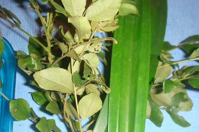 Sri Lankan Cooking with Tricks - FAQs about Sri Lankan Cooking with Tricks