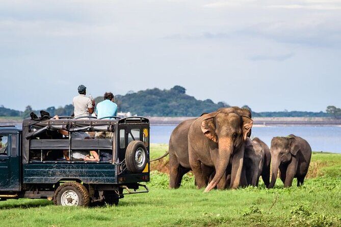 Sri Lankan Luxury Tour Package 14 days - A Deep Dive into the 14-Day Sri Lankan Luxury Tour