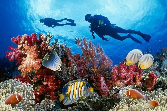 Sri Lankan Luxury Tour Package 14 days - Final Thoughts: Who Is This Tour Best For?