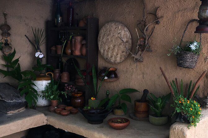 Sri Lankan Village Cooking Class Weligama - The Sum Up: Who Will Love This Experience?