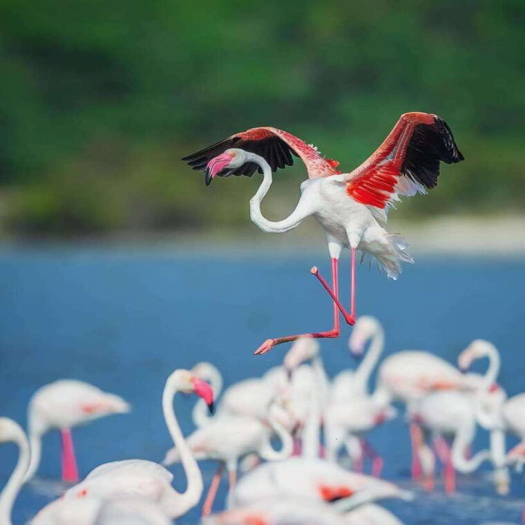 srilanka-4-day-tour-with-accommodation-and-transport