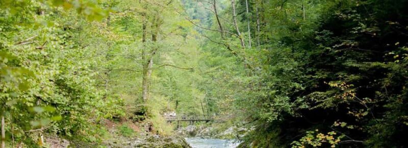 SriLanka: Kitulgala Day Tour with Airport Transfer - Visiting Belilena Cave: A Glimpse into Ancient Sri Lanka