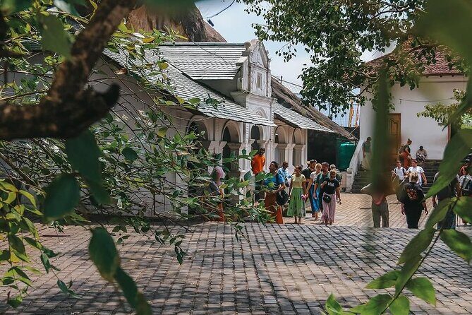 Srilankan Driver with Car 3 Day Tour Sigiriya,Kandy,Nuwaraeliya - Who Should Consider This Tour?