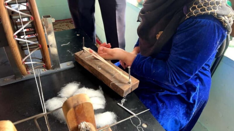 Srinagar: Cashmere Pashmina Craft Tour with Master Artisans - Key Points