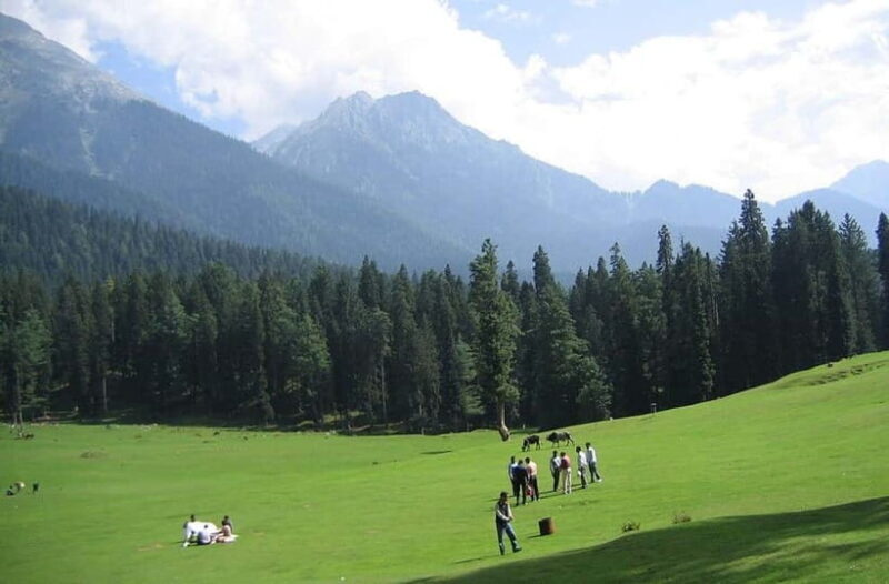 Srinagar: Doodhpathri Day Trip with Transfers - An In-Depth Look at the Doodhpathri Day Trip