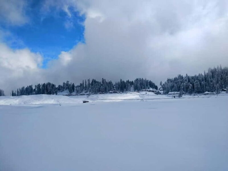 Srinagar: Gulmarg Day Tour - Explore the Meadow of Flowers - Final Thoughts