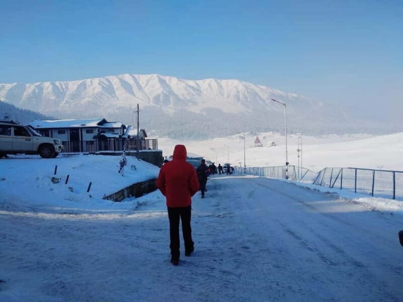 Srinagar: Gulmarg Day Tour - Explore the Meadow of Flowers - Who is This Tour Best For?