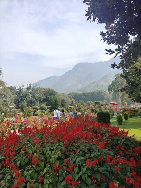 Srinagar: Private Old City and Mughal Gardens Guided Tour - Authenticity and Review Highlights