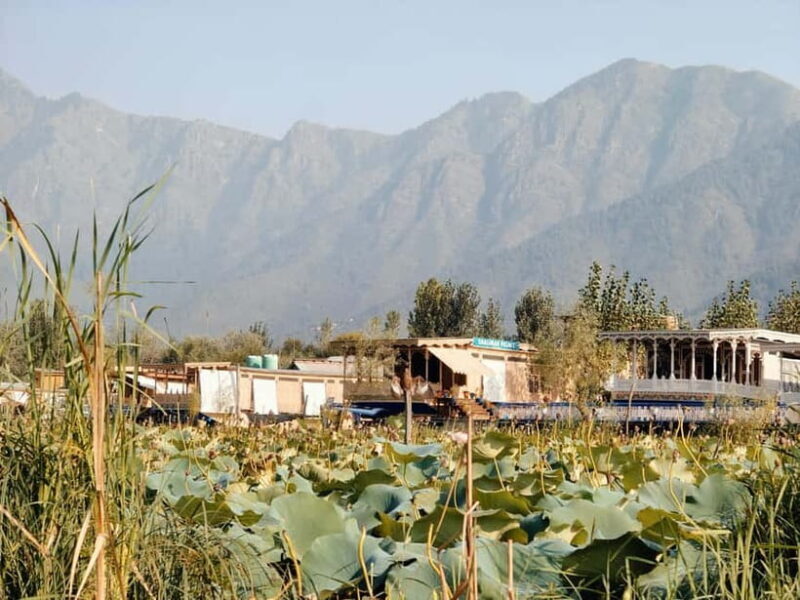 Srinagar: Private Old City and Mughal Gardens Guided Tour - The Sum Up