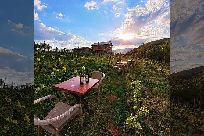 S&S Winery - Wine Tasting Experience in Ohrid - Final Remarks