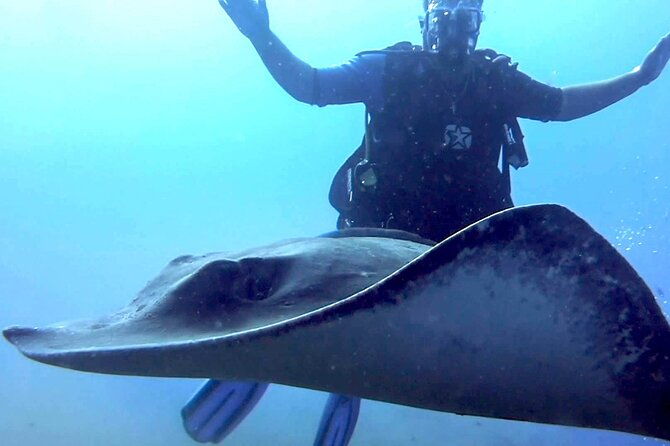 ssi-open-water-diver-course-in-tenerife