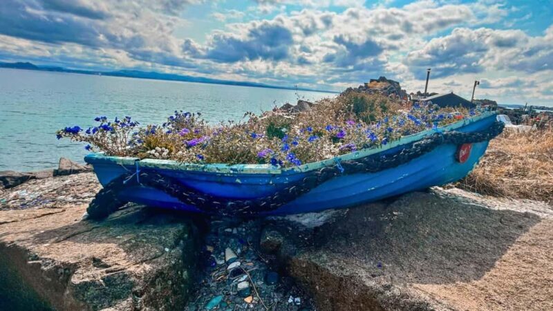 St Andrews Fishing Villages Fife Private Tour from Edinburgh - Who Will Enjoy This Tour?