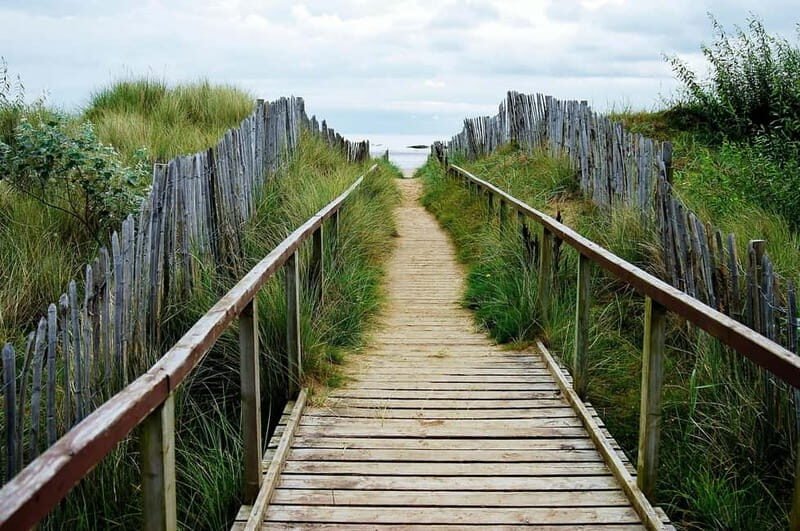 St. Andrews: The Essential Guided Bike & E Bike Tour - Why This Tour Works for Different Travelers