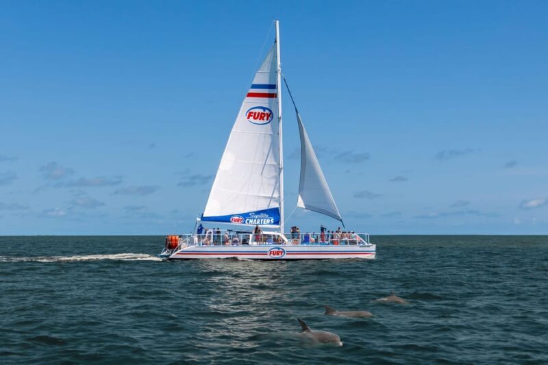 St. Augustine: Dolphin Watching Harbor Tour with Drinks - A Detailed Look at the Experience